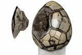 Septarian Dragon Egg Geode - Removable Section #203822-3